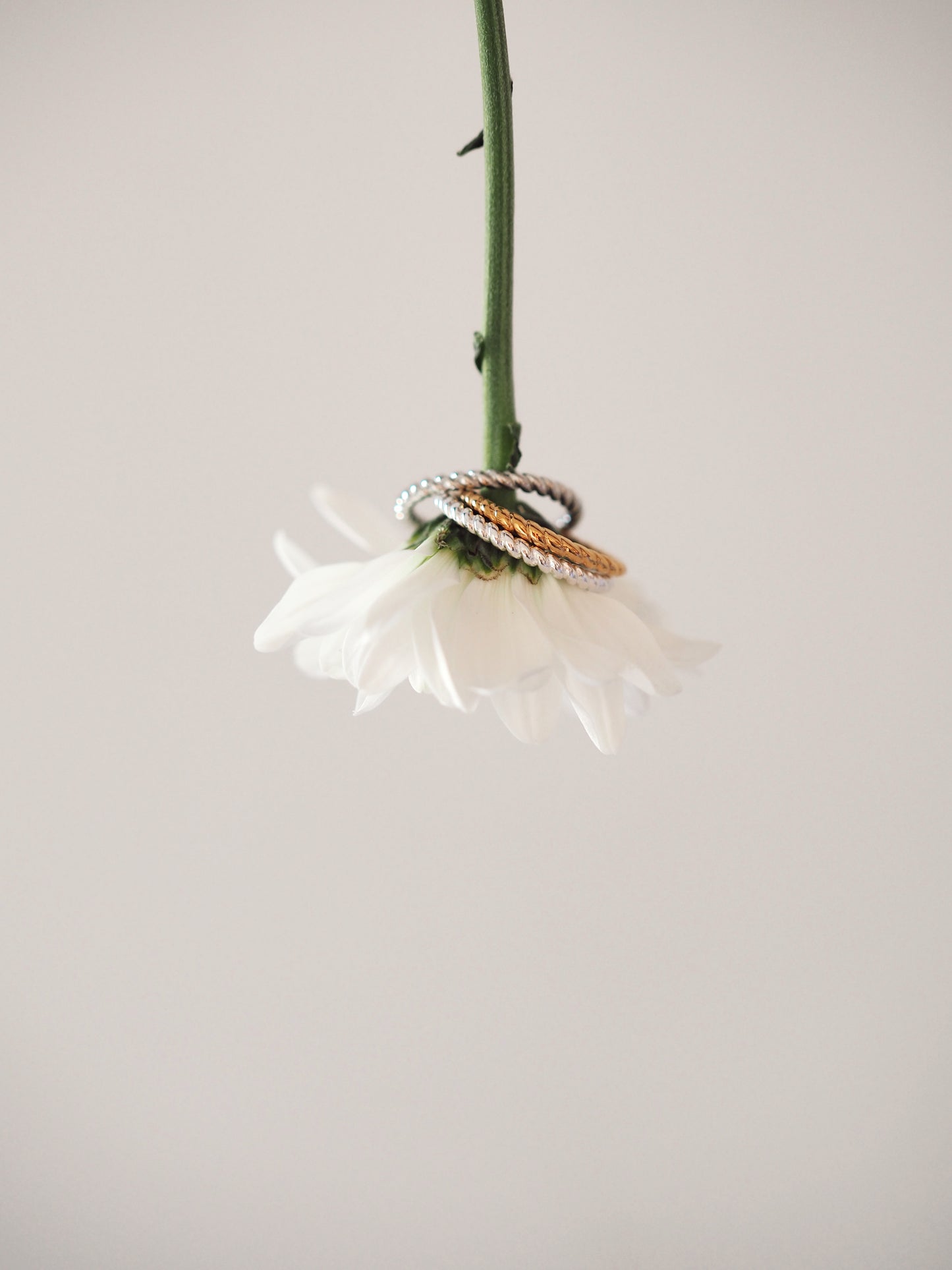 ANILLO ESPIRAL
