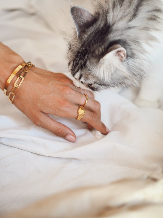 PULSERA ESCLAVA - VIOLETA